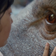 Illustration for article titled iSnowpiercer/i s Bong Joon-Ho Tells a Very Modern Fairy Tale in the First Trailer for iOkja/i